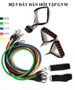 dây kháng lực đàn hồi 5