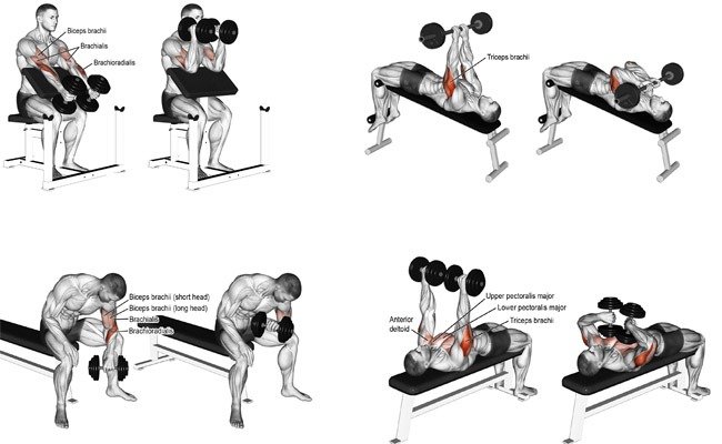 bài tập tăng cơ 4