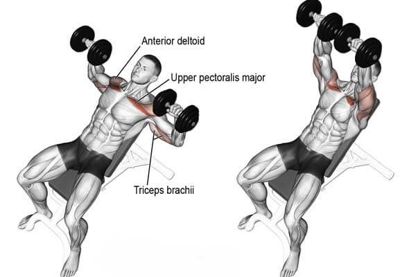 bài tập ngực cho nam 2